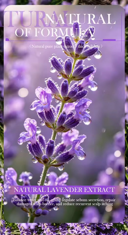 Organic Lavender Shampoo Soap Without Silicone, Cleanses the Scalp, Nourishes Hair & Controls Oil