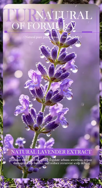 Organic Lavender Shampoo Soap Without Silicone, Cleanses the Scalp, Nourishes Hair & Controls Oil