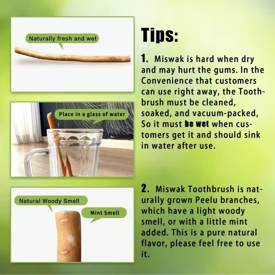 Miswak Sticks Organic Oral Care