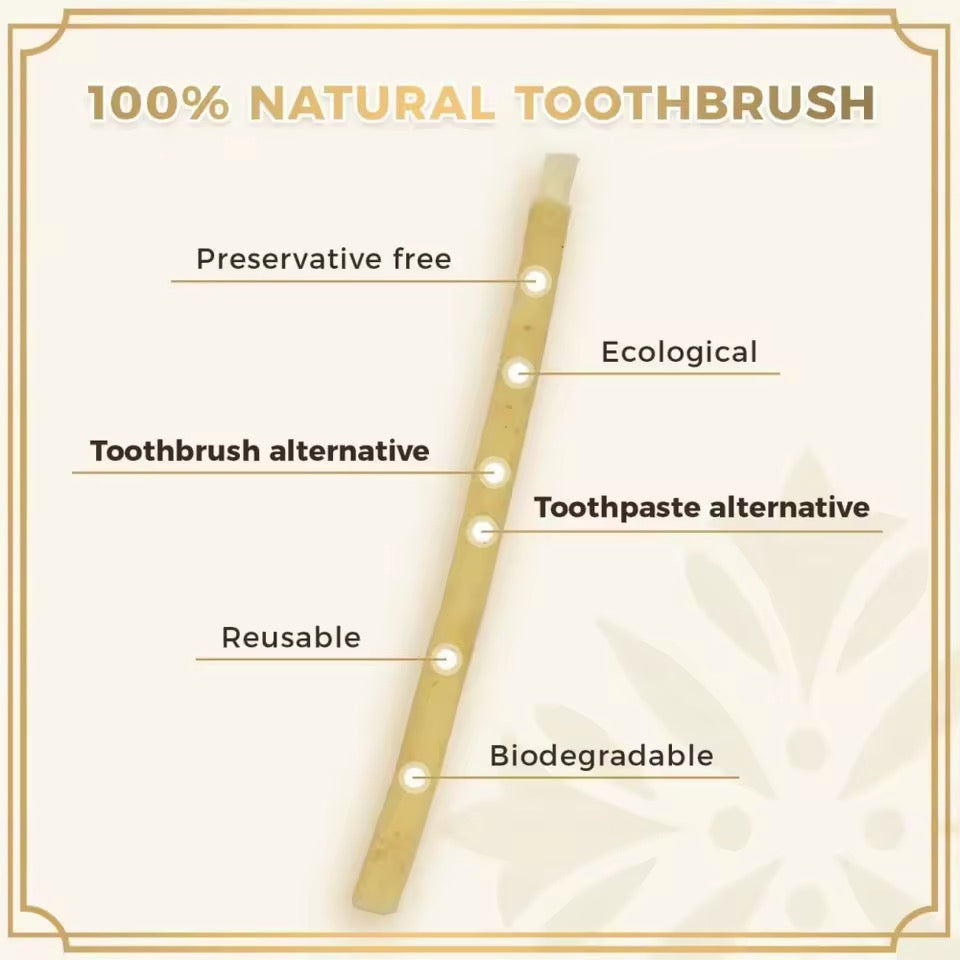 16 Pack Miswak Sticks Organic Oral Care