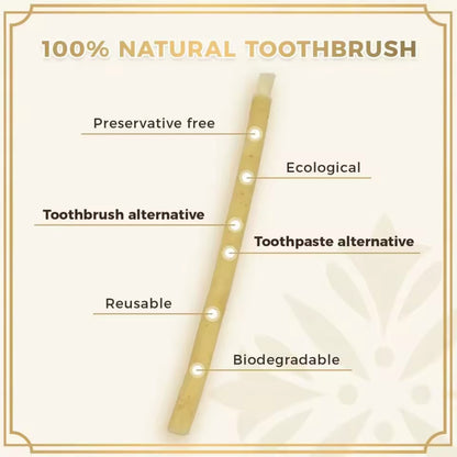 16 Pack Miswak Sticks Organic Oral Care